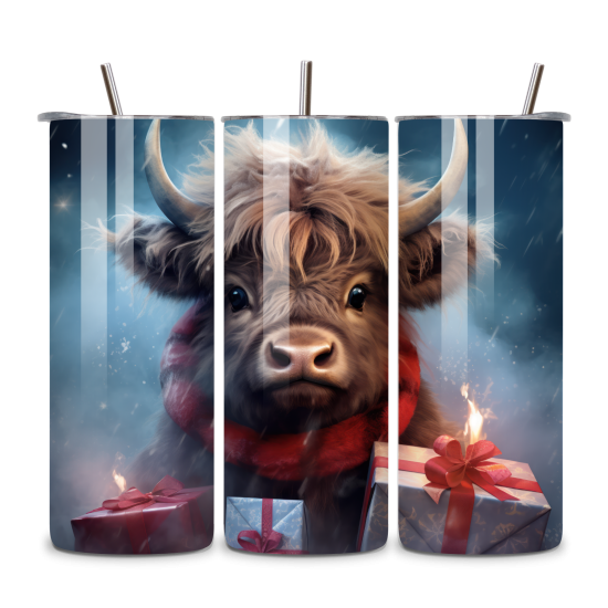 Highland Cow 077