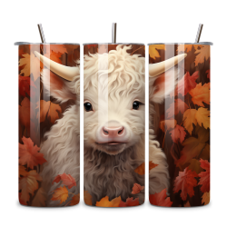 Highland Cow 087
