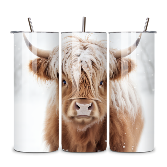 Highland Cow 091 Highland Cow 091