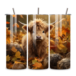 Highland Cow 105