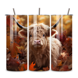 Highland Cow 107
