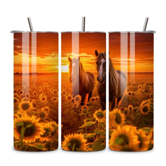 Horse 081