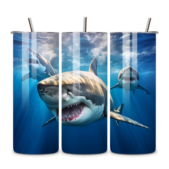 Shark 015