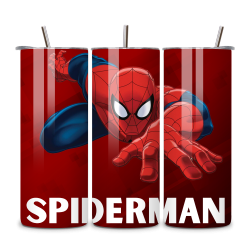 Spiderman 031