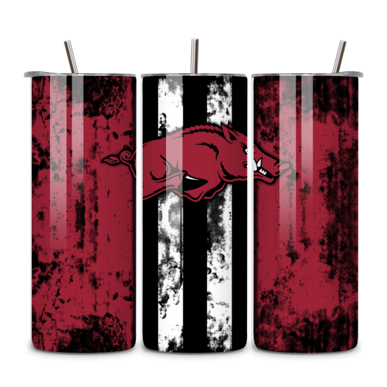 University of Arkansas University of Arkansas